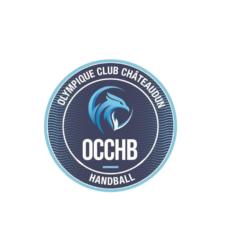 Logo OC CHATEAUDUN